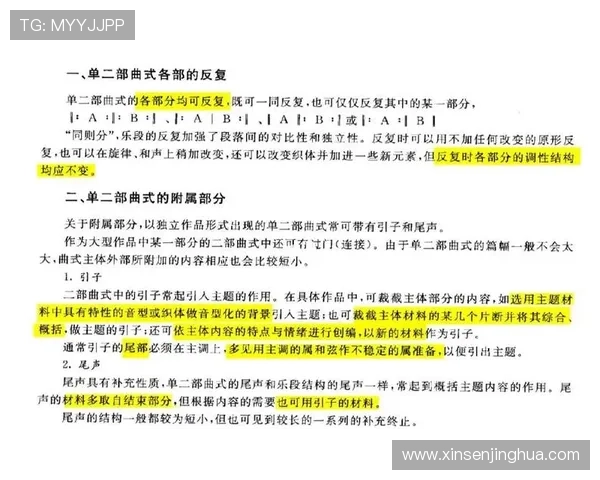 广州排球队在全国锦标赛中的团队协作表现分析与点评